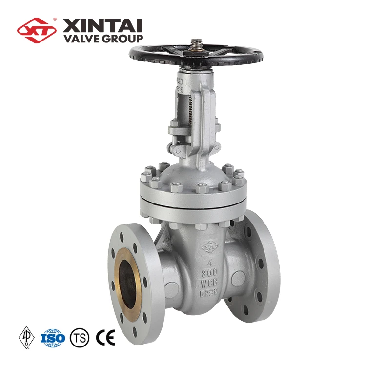 2021 Wholesale 3/4in 150LB Durable WCB Parts Water API Globe Valve for Natural Gas