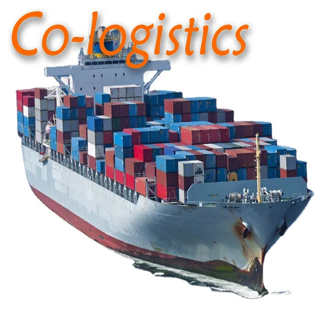 DDP freight forwarder International sea shipping agent door to door from China to USA Greeley
