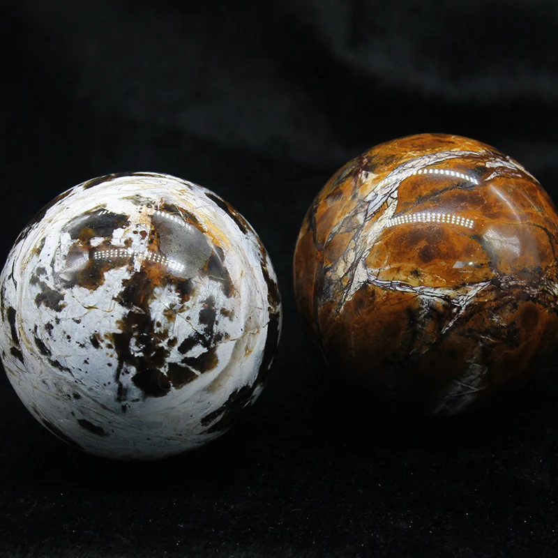 Natural Quartz Ball Patterned Wood Fossil Mineral Spheres For Decoration Fossil Wood Balls