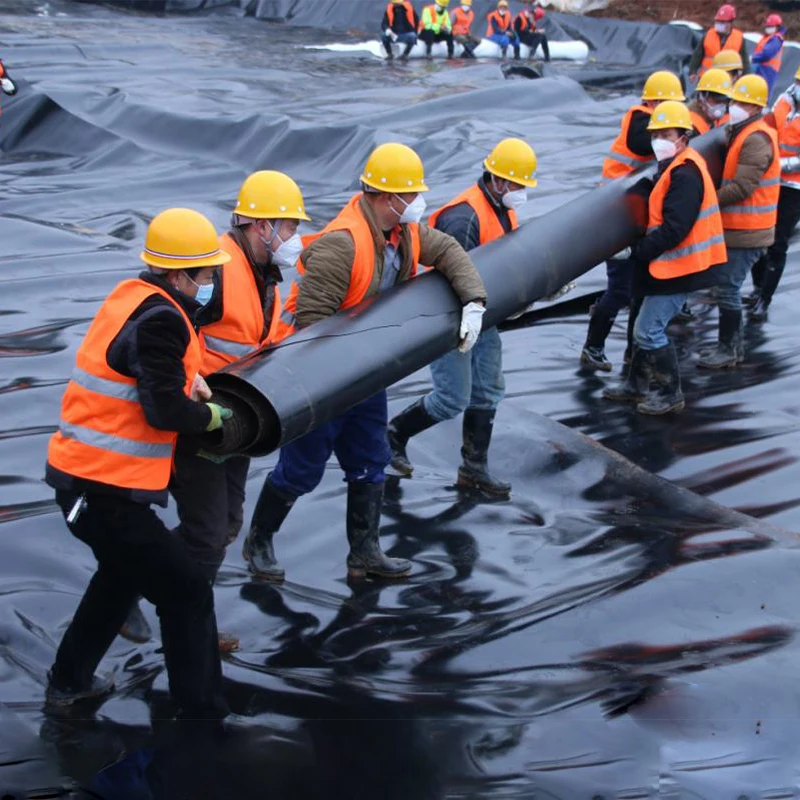 Вкладыш для рыбного пруда Hdpe гладкий геомембран водонепроницаемый мембранный лист пластиковый корневой барьер производитель