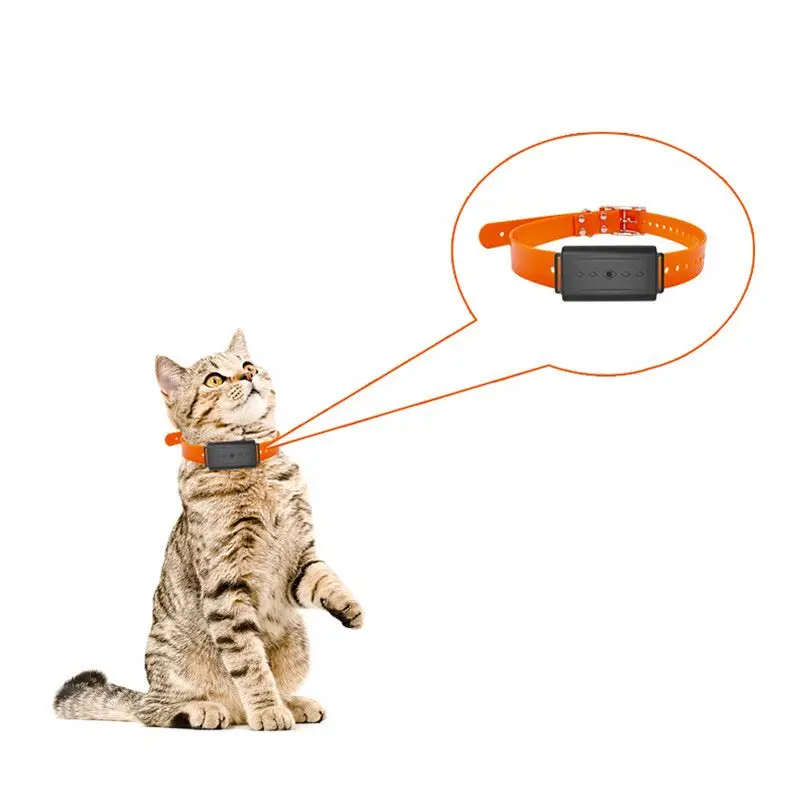 
Small and Easy to hide 4G gbs tracker dog gps tracking device mini tracker 