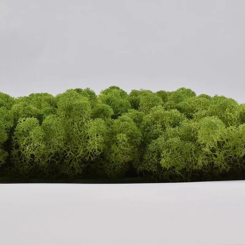 Real preserved moss  impurities fresh moss 30*30cm moss panel for  home wall decoration