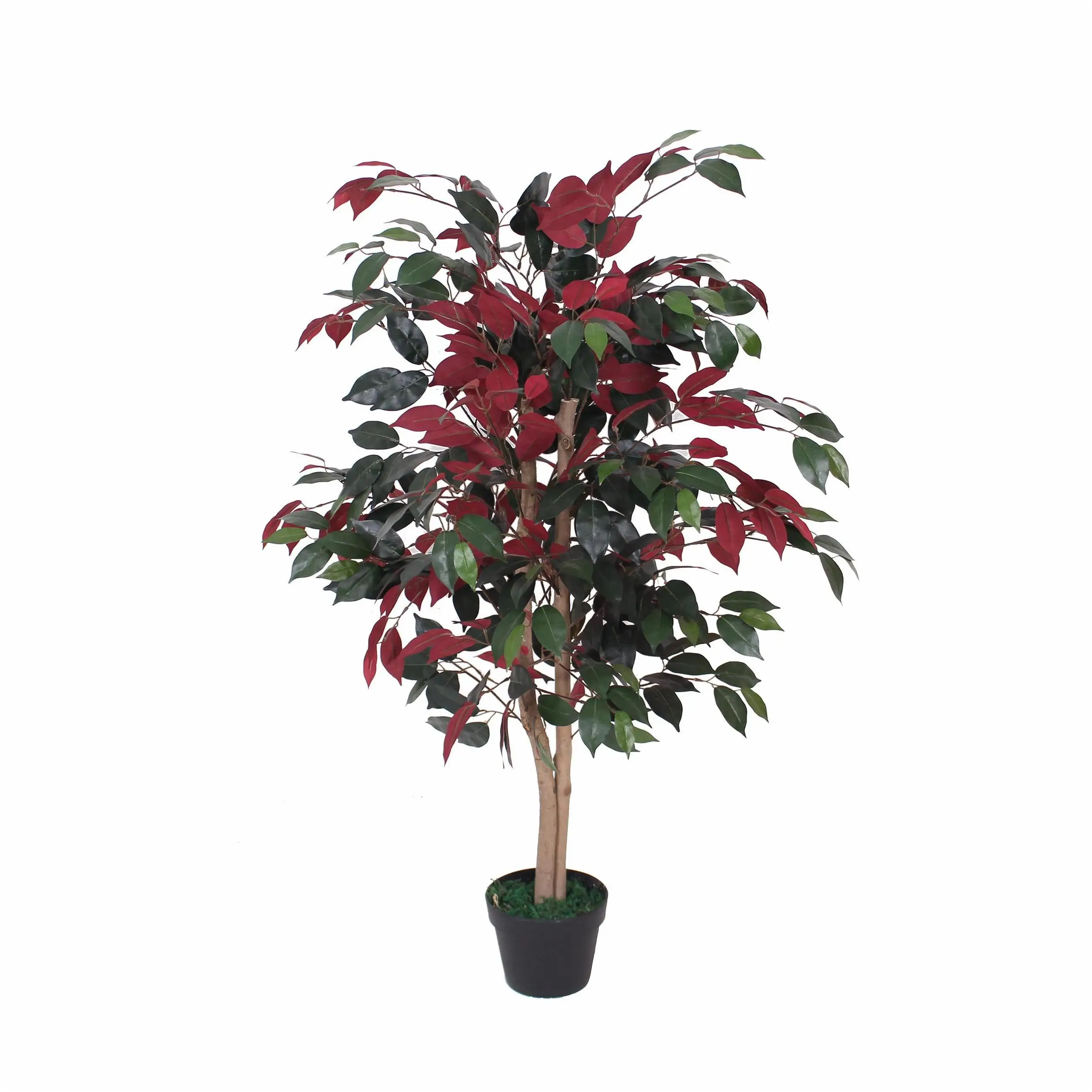 Other Decorative Plants Dry Giant Real Red Modern With Lights Indoor Potted Tall With Pot Natural For Wedding Fake Plant Olive