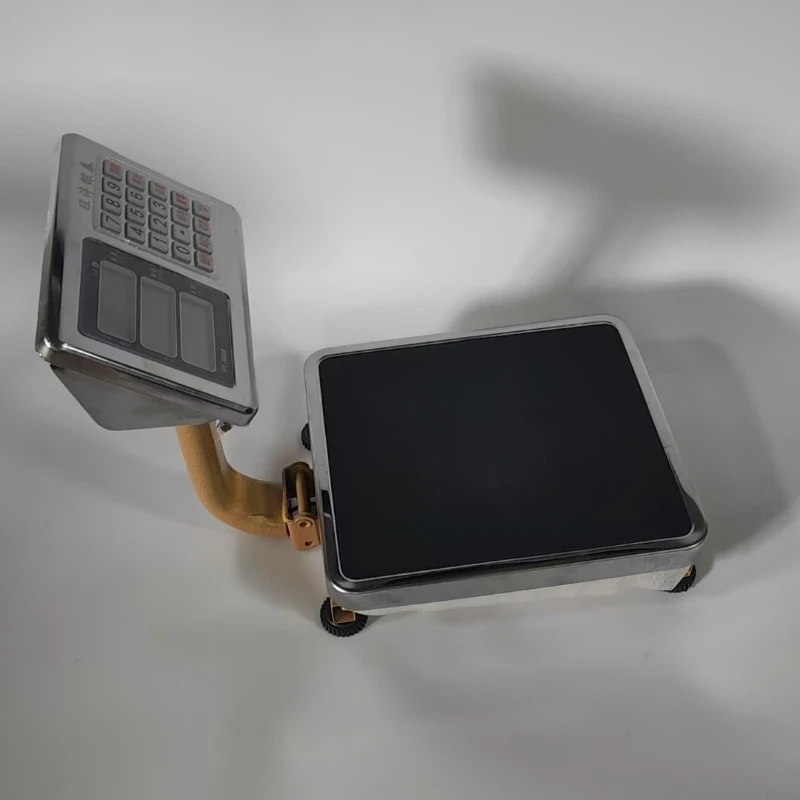 TCS Electronic Platform Scale 300Kg Industrial Digital Material Bench Platform Floor Price Weighing Scales Stainless Steel