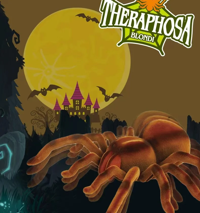 remote spider (12).jpg