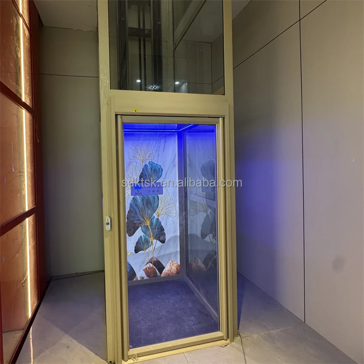 High quality 3 floor panoramic residential home elevator with cabin for 2-4 person