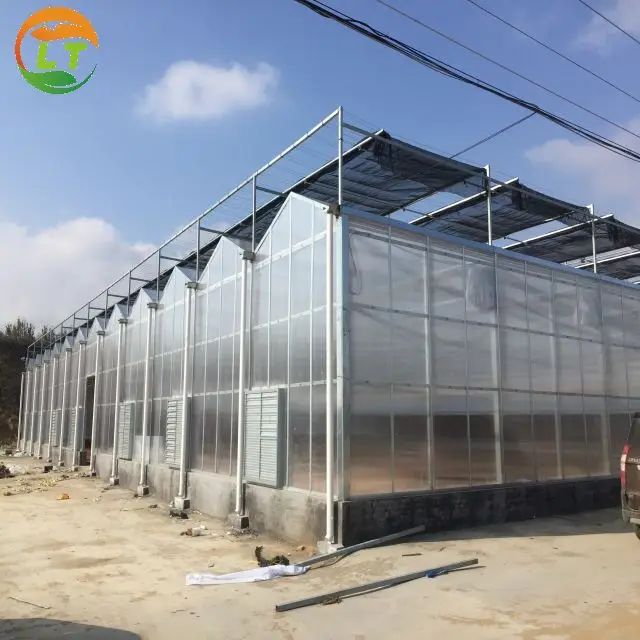 Multi-span hydroponics greenhouse system agriculture polycarbonate greenhouse for sale