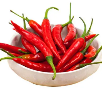 Premium Quality Standard Fresh Red Chili Spices 100% Pure Fresh Hot Chili Pepper At Low Price