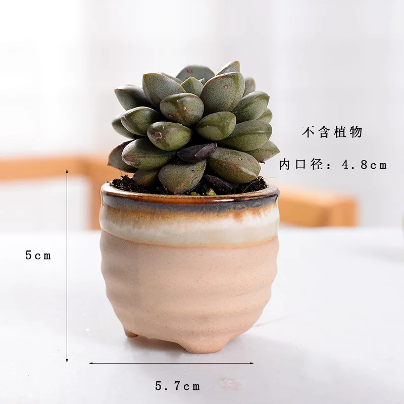 Office Home Decor Ceramic Pots Small Ceramic Mini Potted Artificial Succulent Plants in Pot Without Plant