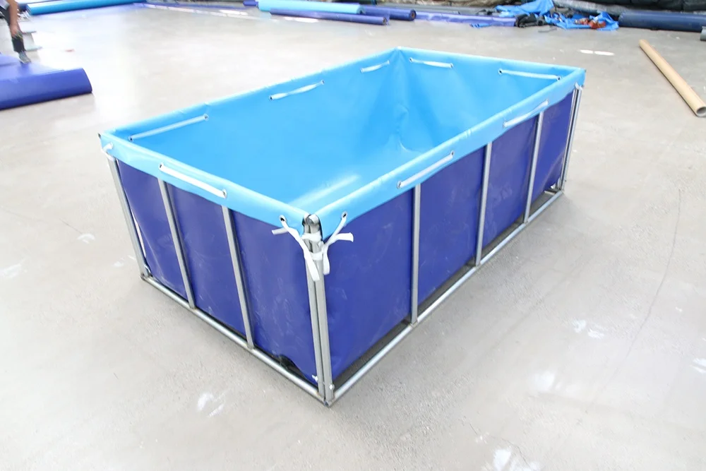 Summer children can swim in the swimming pool  fish pool swimming circle cool