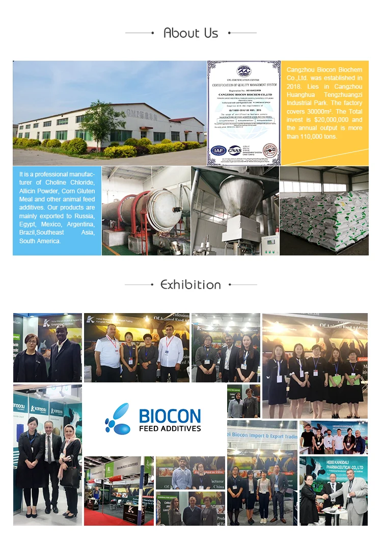 China Factory direct sale price Non-frozen Fish Meal 64% for Poultry Feed