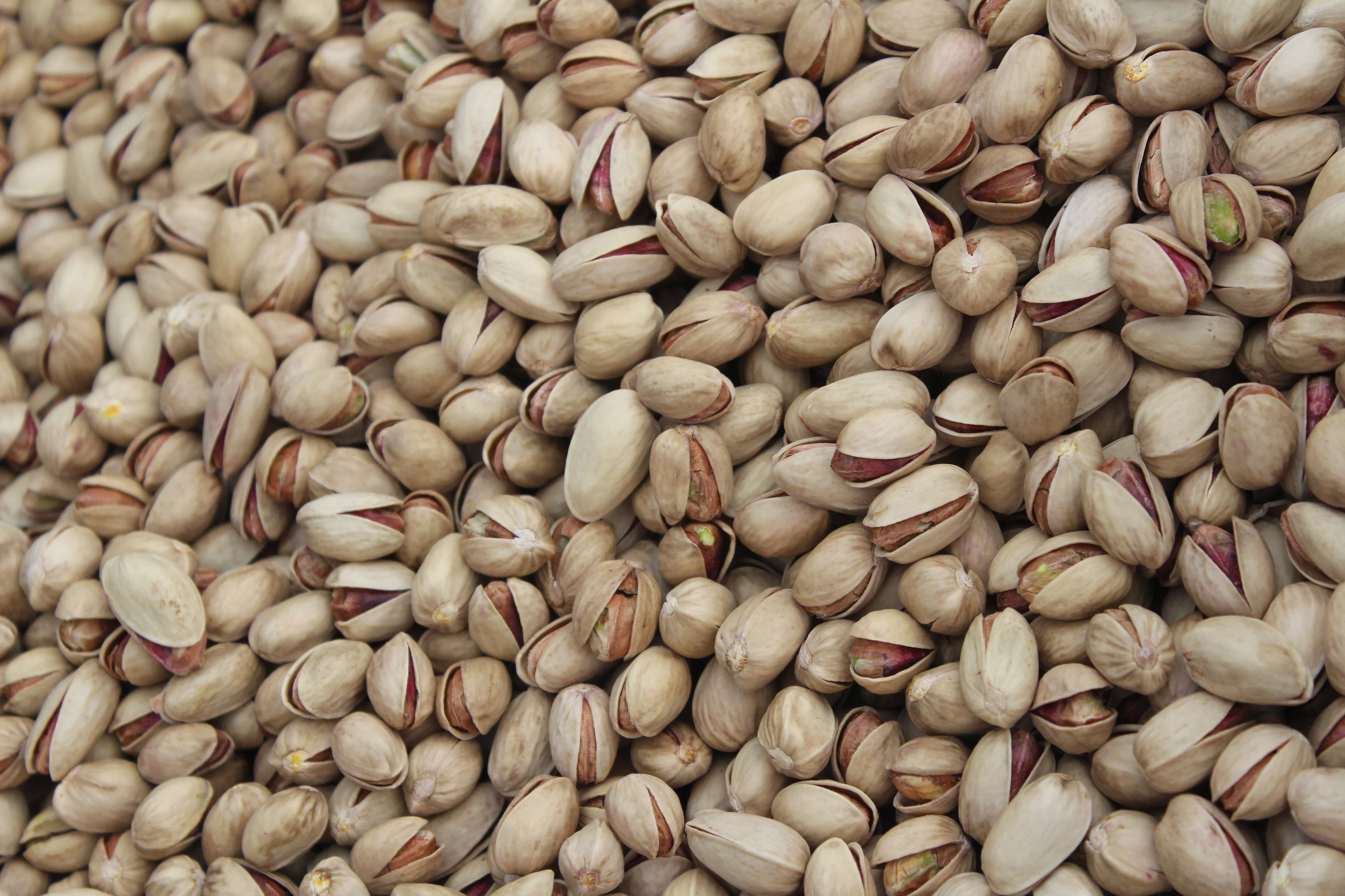 Wholesale almond shaped natural pistachio bulk dried nuts food