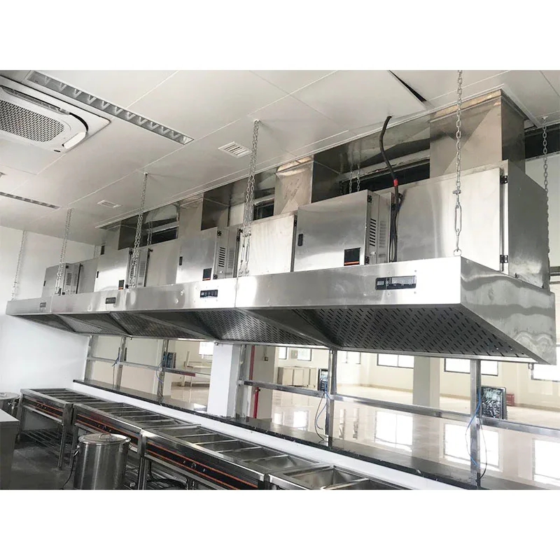Commercial cooking equipment smoking pipe filter range hood vent filter with ESP electrostatic precipitator