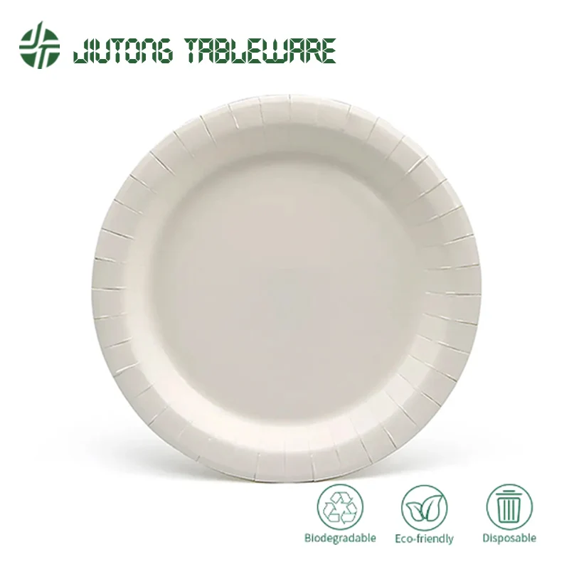LuzhouPack Custom Logo Printed Disposable Paper Dish Good Price Mass Production for Camping Food Use