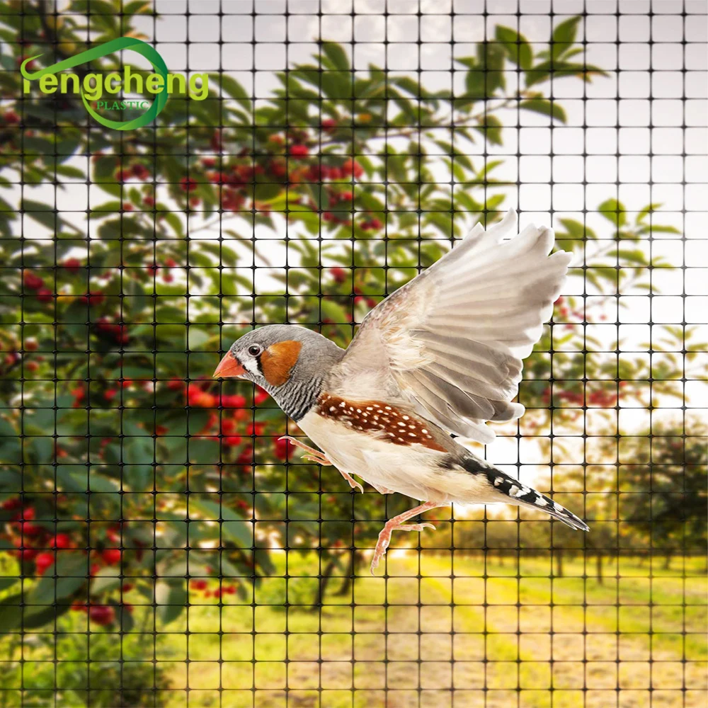 Hot Sale Bird Aviary Netting , Anti Bird Protection Net , Birds Trap Nets