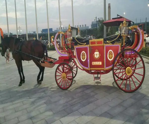 Human Power Rickshaw Tricycle Rear Driving For Hotel Show Carriage