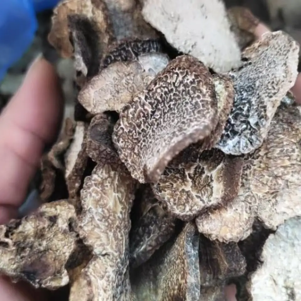 truffle Edible mushroom truffle mushrooms