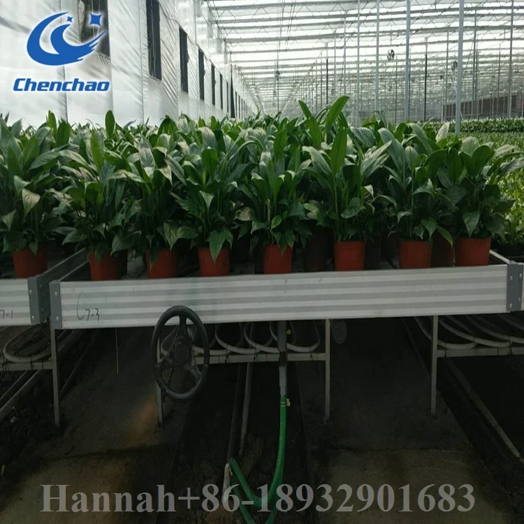 hydroponic 4x4 flood grow trays 4x8