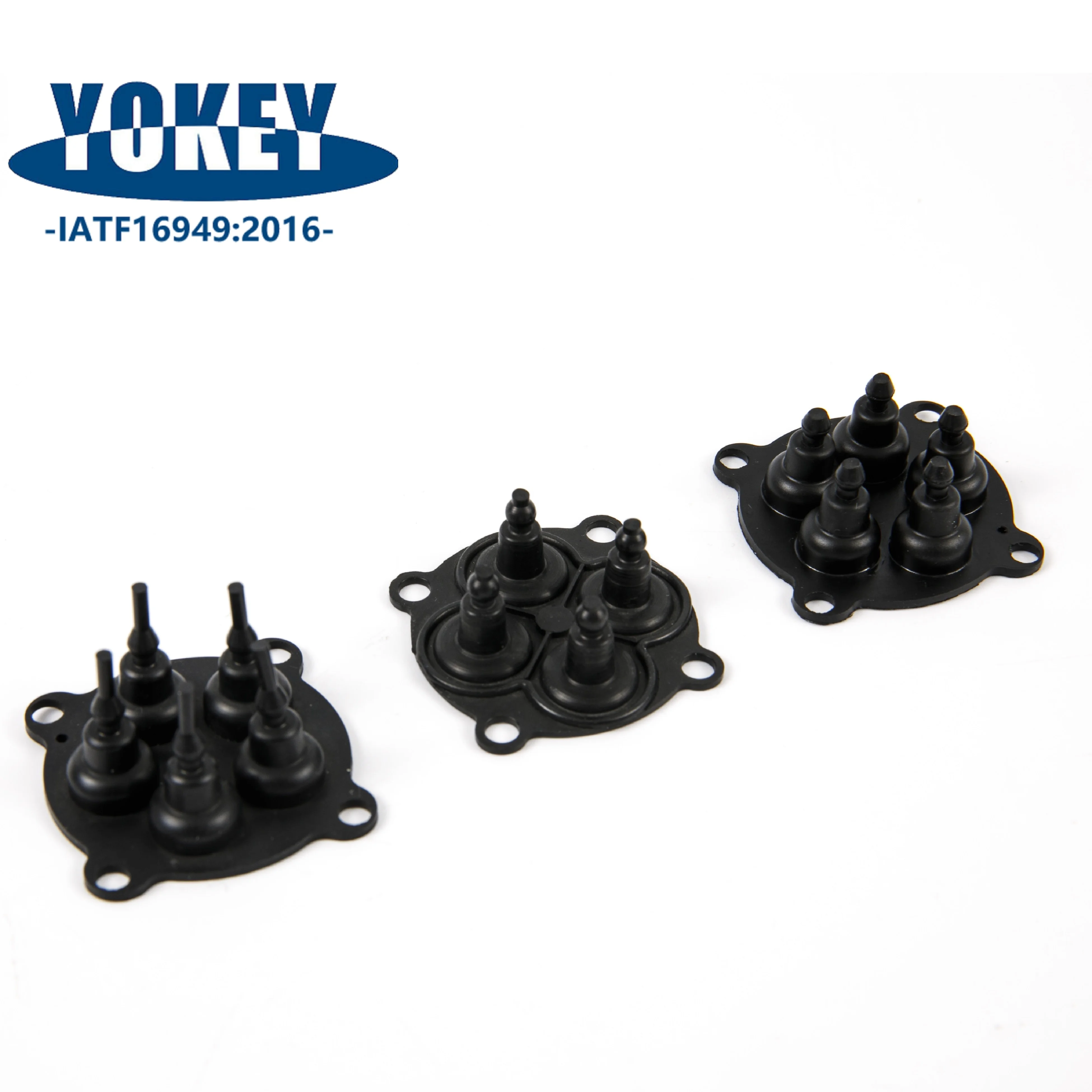 Chemical Resistant Mechanical Diaphragm Pump Valve Rubber Diaphragm