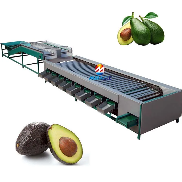 5 grading sweet potato avocado sorting machine tomato sorting machine