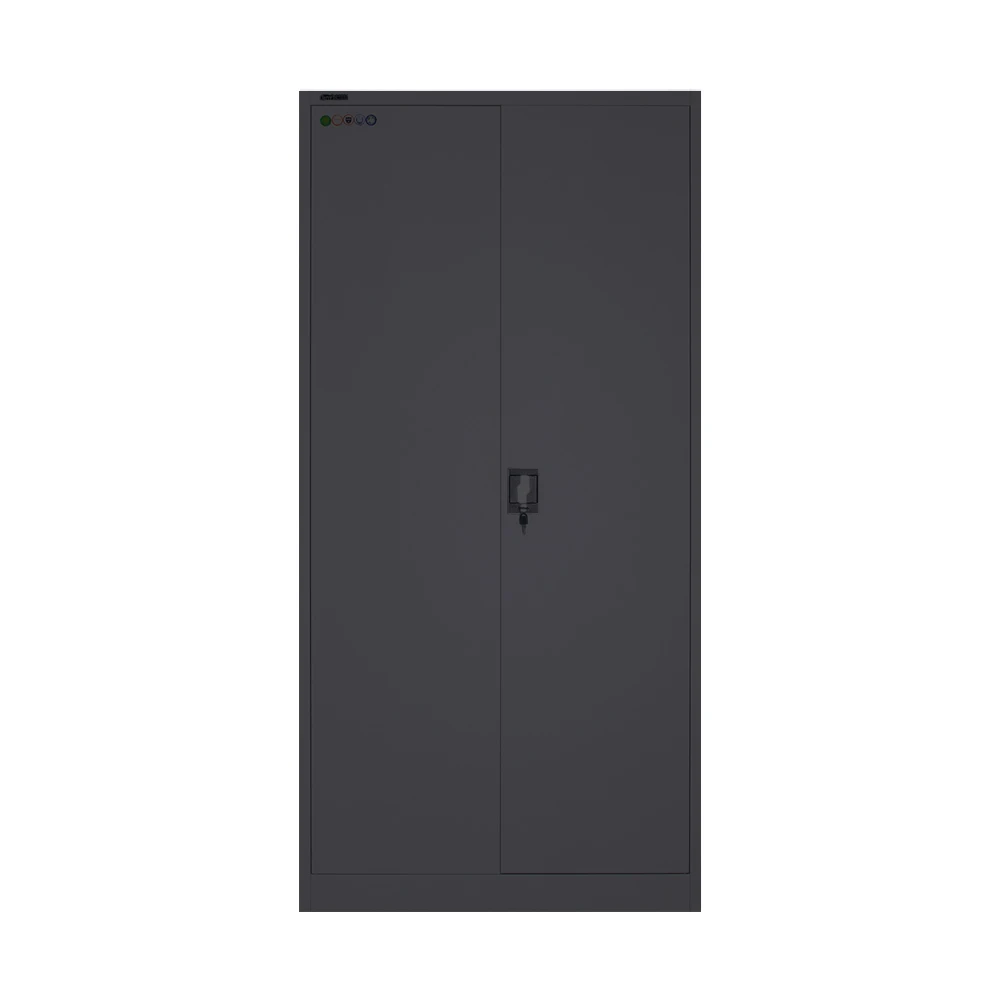 Metal Cabinet Storage 2 Door File Cabinet with Swing Door Office Furniture