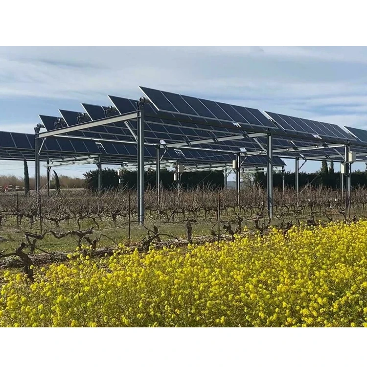 Industrial 50 Power 5Kw 1 Mw System 100 Kw 150Kw Solar Panel Agriculture Solar Farm