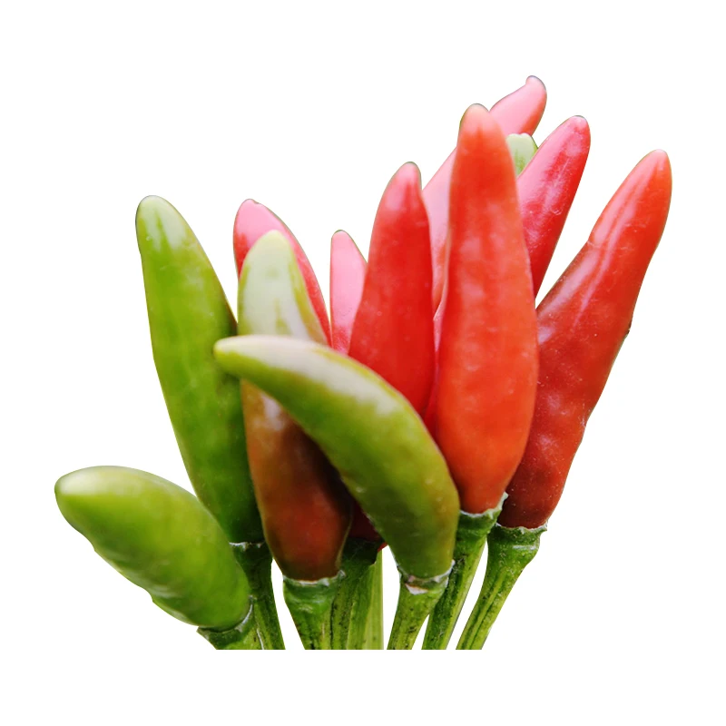 Wholesale chicken seasoning product food chili pepper powder on sale