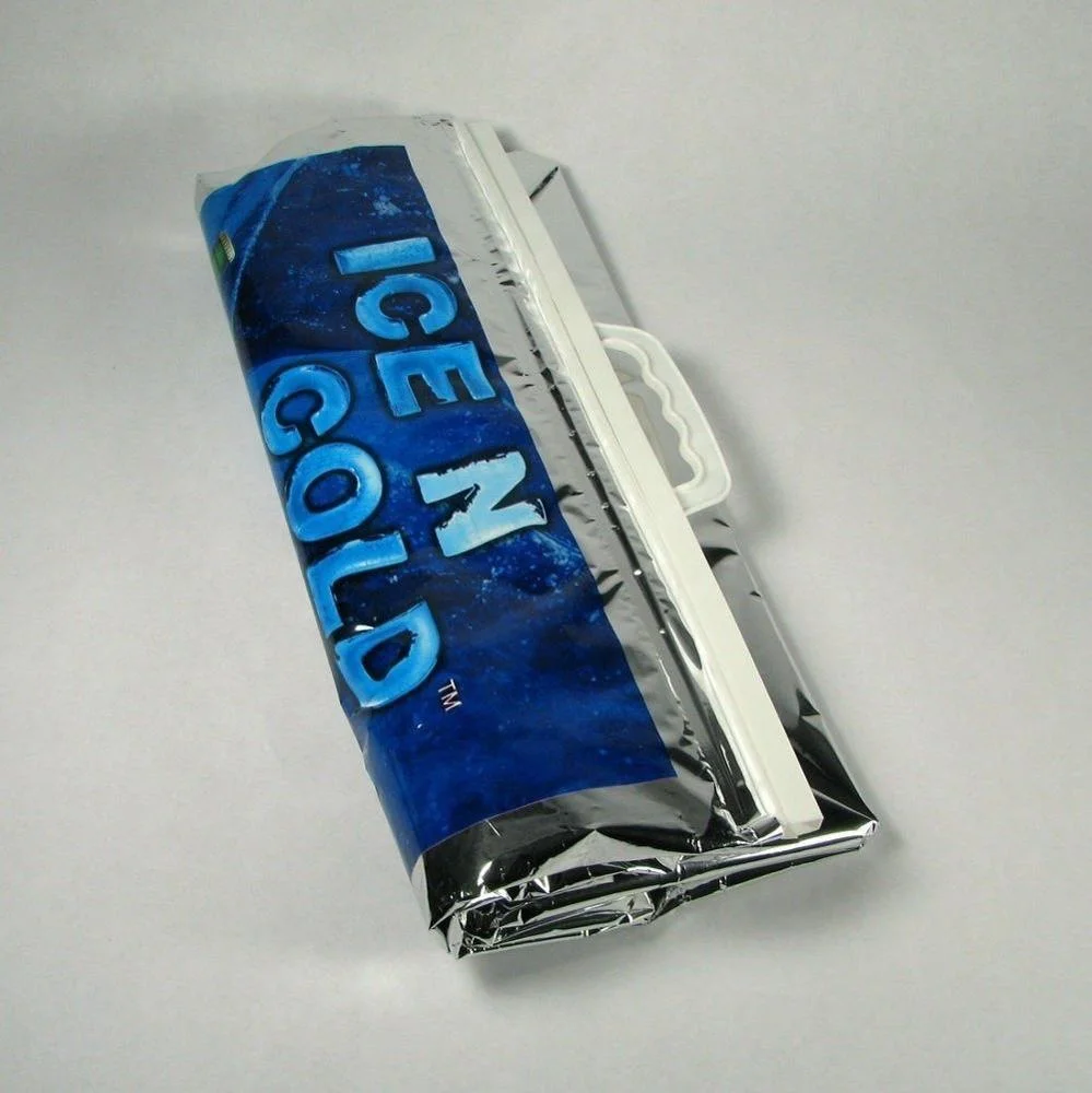 Custom Quality Hot Zero Degrees   Cool Ice Cream Disposable Insulated Cooler Bag