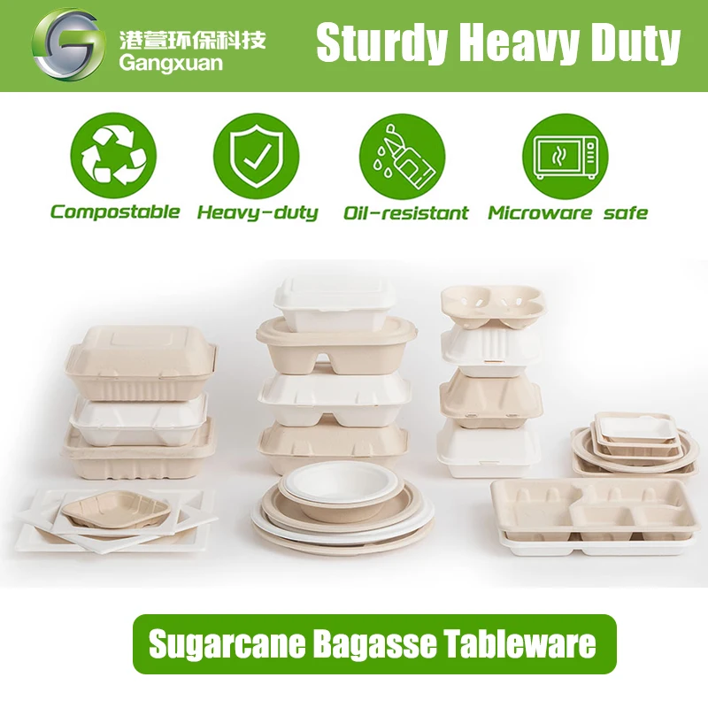 Disposable Tableware Biodegradable Sugarcane Bagasse Leakproof Takeaway Paper Lunch Box Container Catering Boxes with Lid