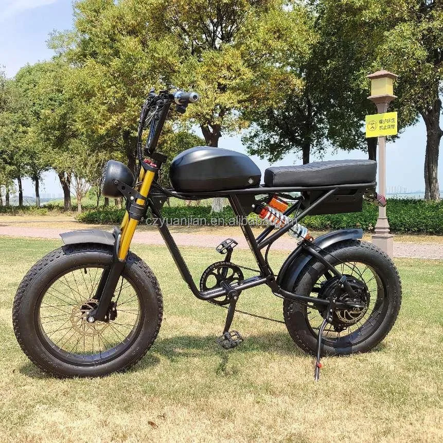 Brand New China Oem Ebike Double Battery 40km/h Speed 20inch 250w350w500w1000w 7speed Fold Dual Motor Electric Mountain Bike