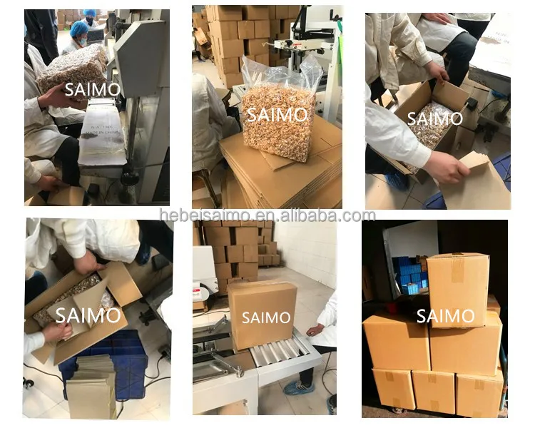 Walnut Kernel Light Amber Broken.jpg