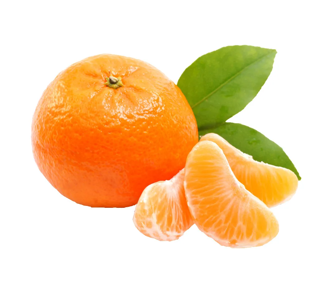 new season Fresh citrus fruit from China Fresh Mandarin orange for sale