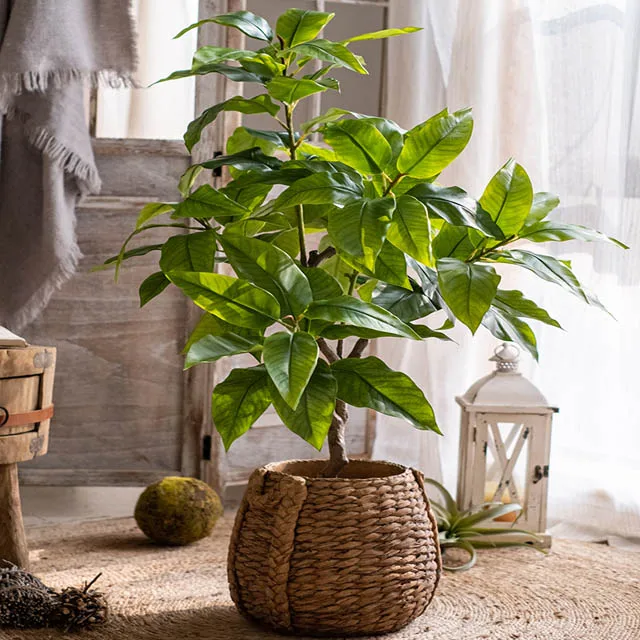living room indoor floor decoration tree window decoration Large simulation green laurel tree  potted
