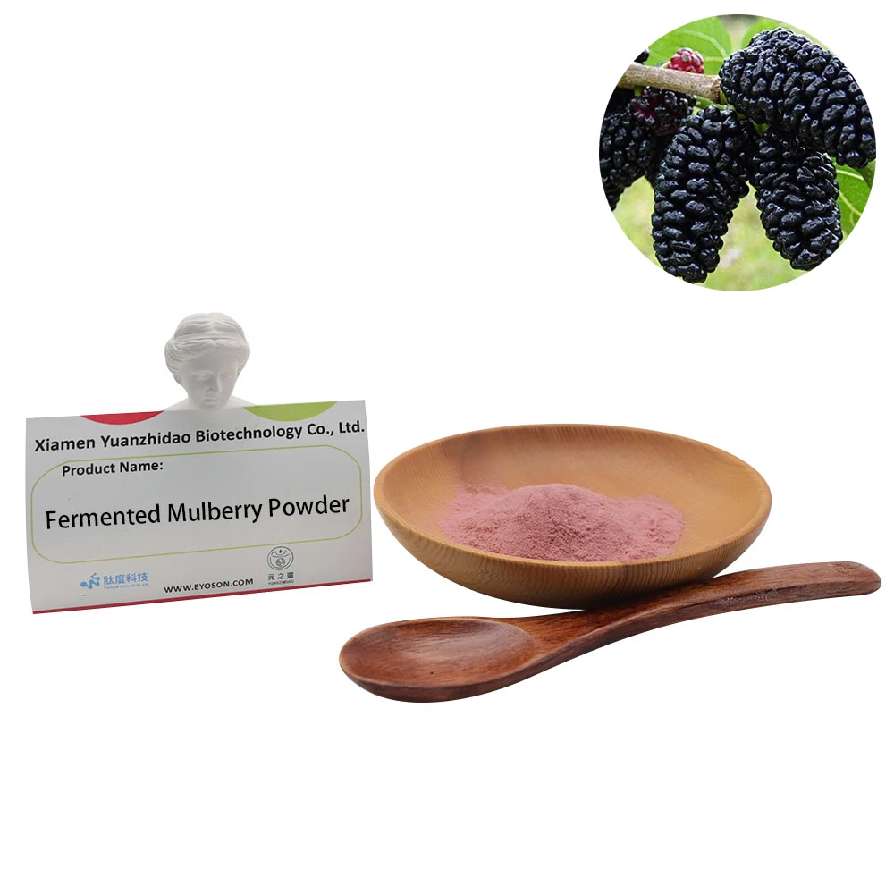 Hot Selling Super Fresh Fermented Mulberry Powder Health Care Raw Material  Mulberry Powder Nourishes The Liver And Kidney