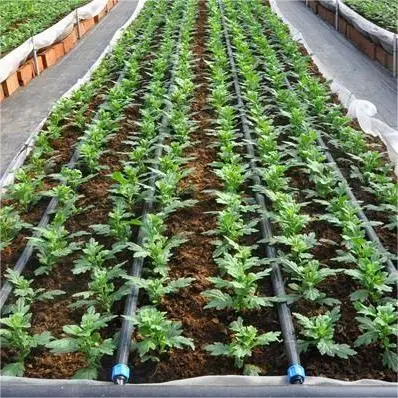 Water saving drip irrigation belt in agriculture 16mm flat dripper drip tape