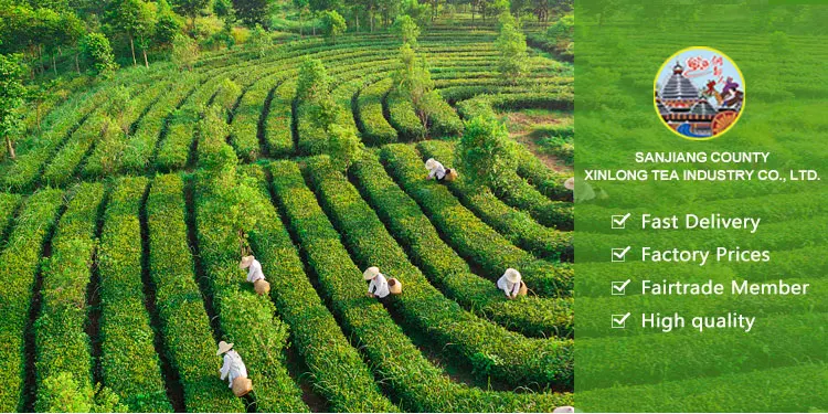 Factory High Quality Dark  Loose Leaf Ancient Tea Raw Tea Cake Brick Dark Tea