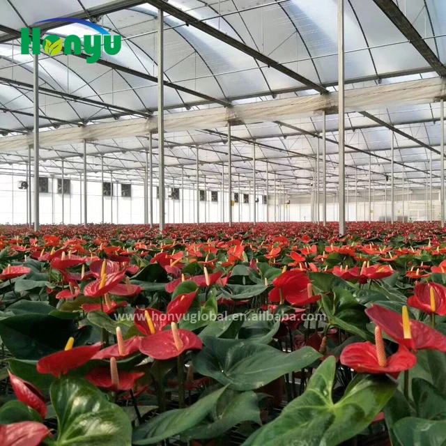 200 Micron Hydroponic Growing Plastic Film Greenhouse for Micro Green and Flowers