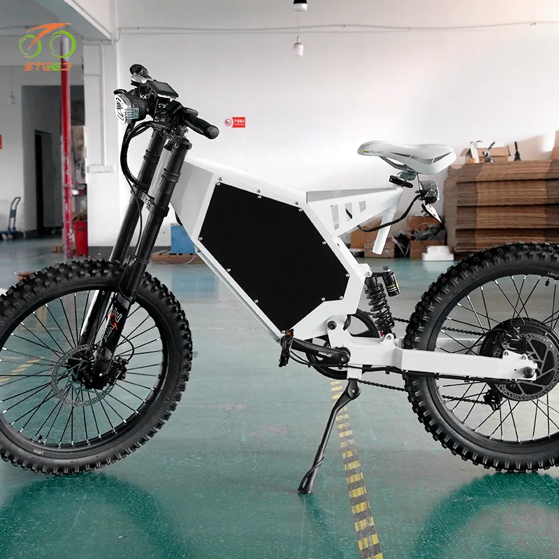 Steed walking bike chaoyang electric bicycle engwe 2000w 3000w fat tire bike with electric conversion kit