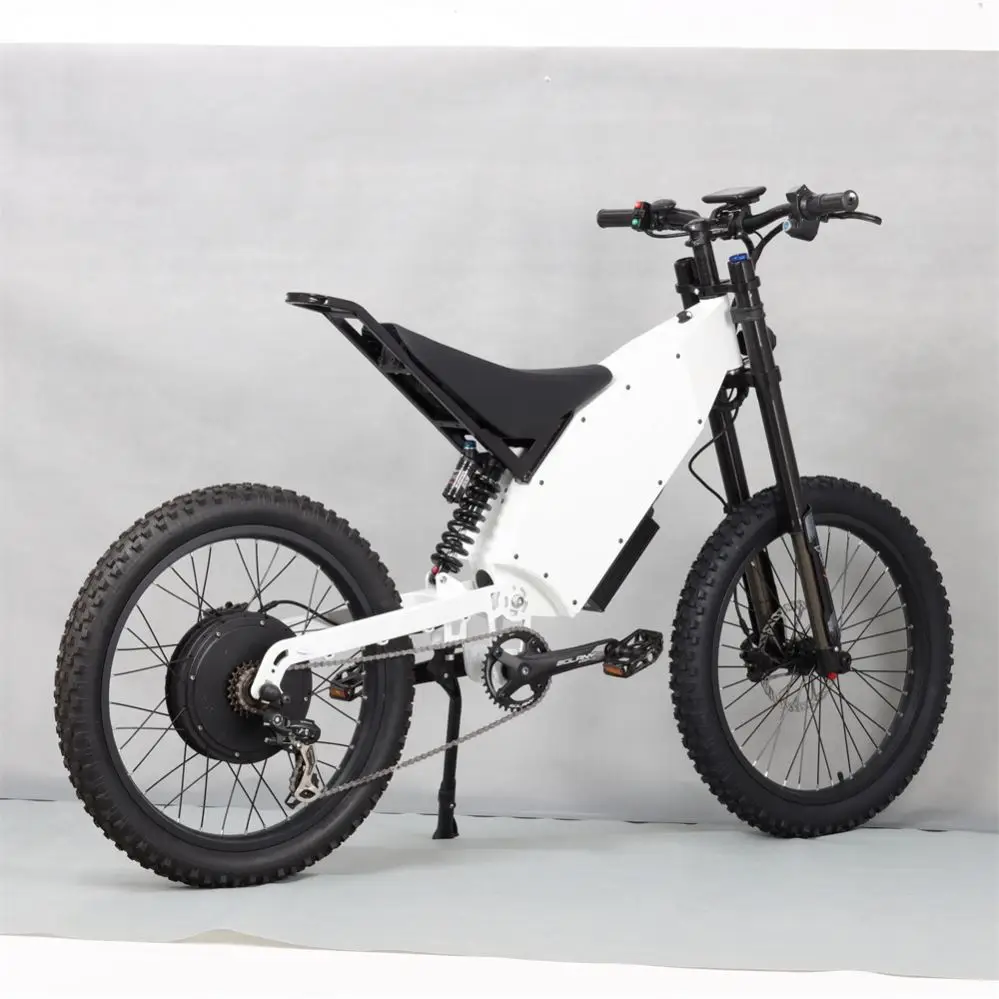 Electric Bike Children Utility Shuangye 20 Inch Front Wheel Hub Motor