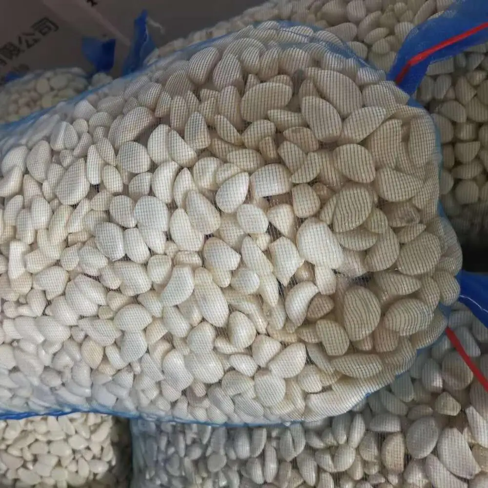 
Chinese manufacturer supplier 280-320 Vacuum packed fresh peeled garlic 