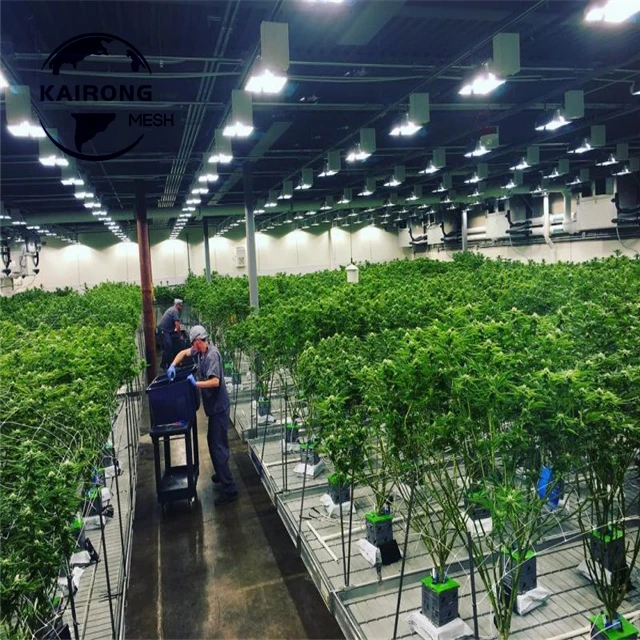 Good Quality And Best Price Grow Tray Hydroponic Systems Flood For