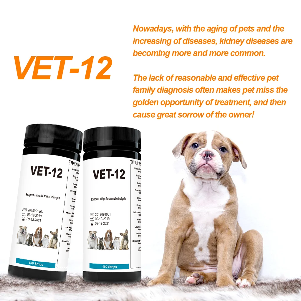 12 parameters Pet Urinalysis Test Strips, Ketone Protein Glucose Diagnostic Animal Urine testing Dipstick
