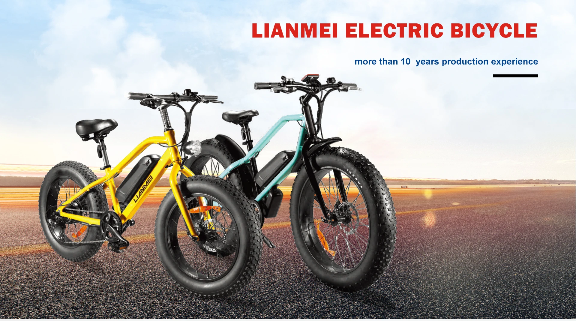 Lithium mountain downhill type e bike two wheels 48v electric bicycle electric city bike