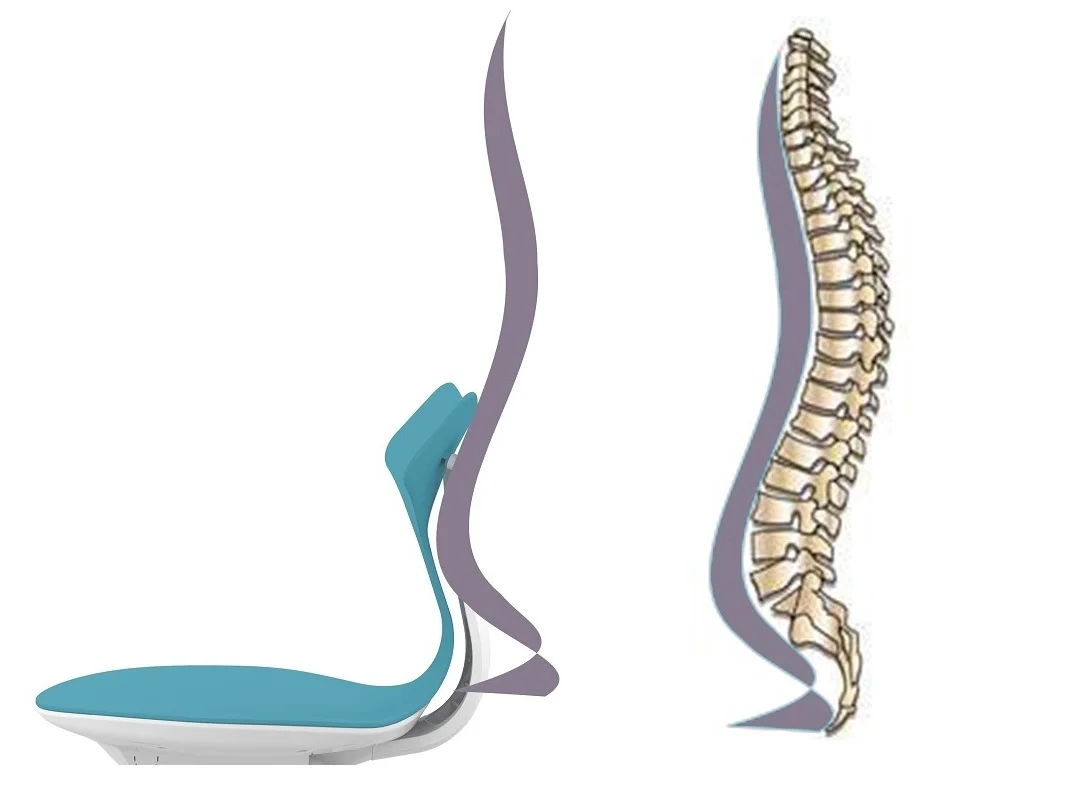 GS-1830A-2 Whale Design Height Adjustable Armless PP Lab Chair for Home Office Bedroom hotel Workshop or Hospital