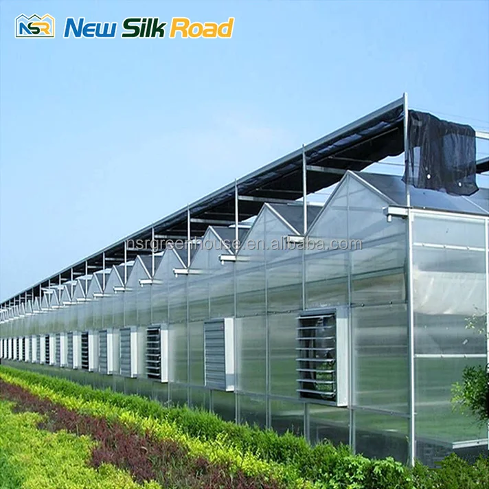 steel and glass houses solar greenhouse 4 layer polycarbonate agriculture outdoor green houses greenhouse for agro