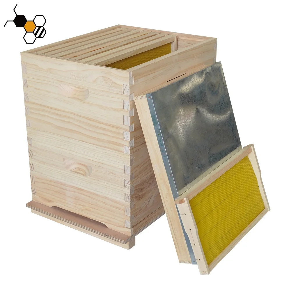 Australian Style Unassembled Honey Hive 20 Frames 2 Deep Bee Hive Boxes Kit China Fir Australian Beehive