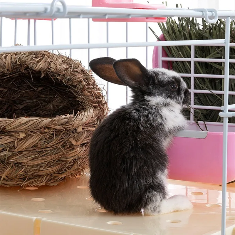 Stainless Steel Cages Wholesale Rabbit Hutch Dog Kennel Jaula Small Animal Cage  rabbit pet cage wholesale large indoor for cat