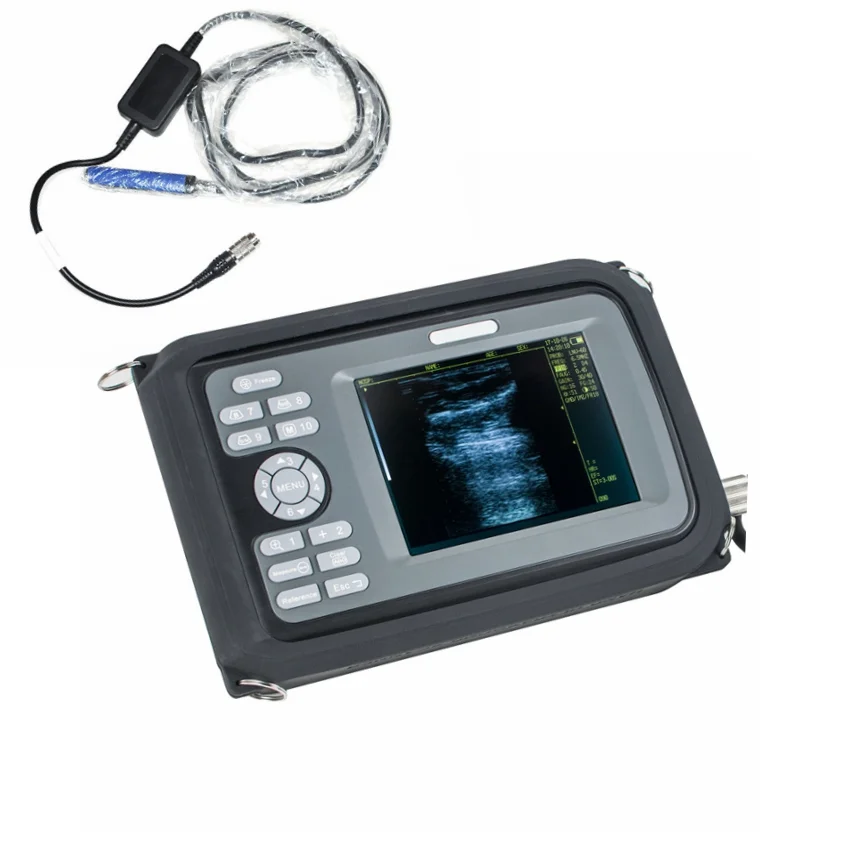 Cheap good ultrasonic scanner pig sheep rectal pet vet ultrasound ecografo v8