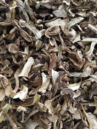 
Wholesale Dried Boletus Eduilis Fresh Porcini Mushroom With Competitive Price 