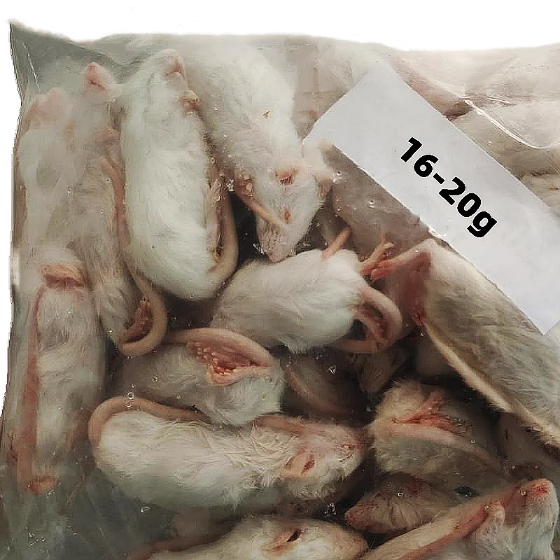 Ферма породы Замороженные мыши и крысы для домашних змей